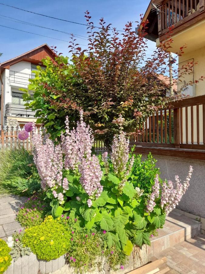Harmonia Vendeghaz 100 Meterre Az Igali Gyogyfuerdotol Lägenhet Exteriör bild