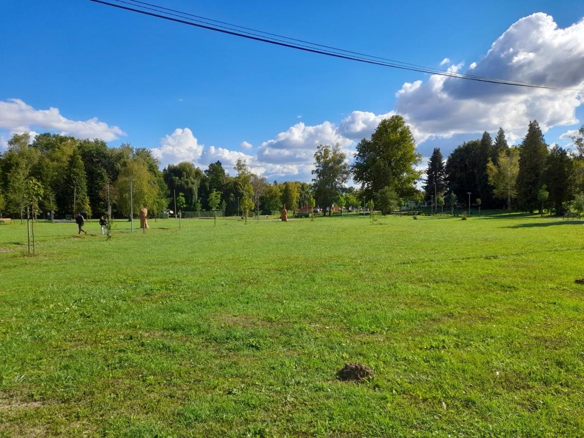 Harmonia Vendeghaz 100 Meterre Az Igali Gyogyfuerdotol Lägenhet Exteriör bild